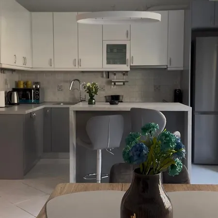 Apartman & Grey Family 100 M Cente Szaloniki