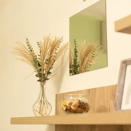 Apartment & Grey Family 100 M Cente